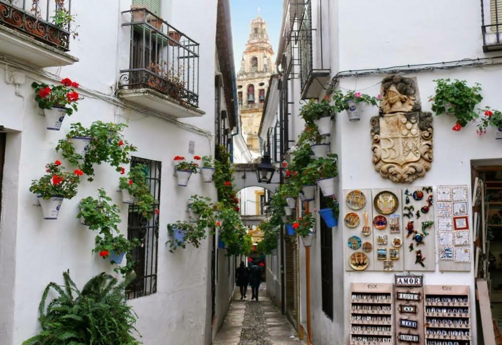 La Siesta - En El Corazon De Cordoba Córdoba Exterior foto